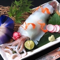 料理メニュー写真&nbsp;船凍イカ姿造り