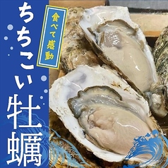 宮城特産「ちちこい牡蠣」（S～Lサイズ、550～1100円）