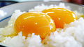 料理メニュー写真 糸島卵の卵かけご飯