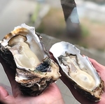 【絶品】生カキあります！特製オイル煮にしたおつまみカキや鍋もご用意してます