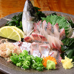 天然釣りアジの薄造り