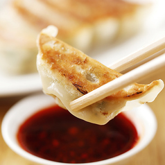 【博多名物】博多焼き餃子