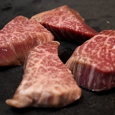 ヒレ/Fillet