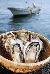 浜焼き各種　東北/北海道産