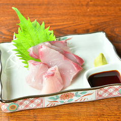 ハマチ刺身