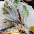 料理メニュー写真&nbsp;サヨリ造り