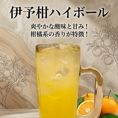 伊予柑ハイボール