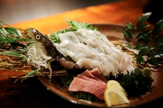 瀬戸内料理 喜久のコース写真