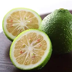 カボスサワー/レモンサワー