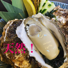 居酒屋 かげやのおすすめ料理1