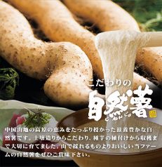 山口県周南市で育った自然薯☆