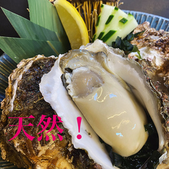 居酒屋 かげやのおすすめポイント1