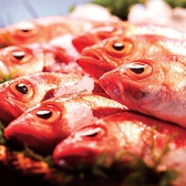 【新潟の味 高級魚のどぐろ】正式名称は「赤むつ」。喉の奥が黒いことから新潟・北陸地方では「のどぐろ」と呼ばれている高級魚。白身のトロと称されるように、脂がのっており炭火焼きでその濃厚な味わいをお楽しみくださいませ。