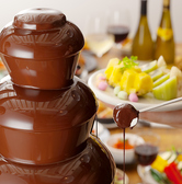 追加プラン500円(チョコフォンデュタワー食べ放題)