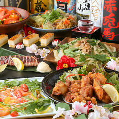 飲み会に♪若鶏炉端/鰹たたき/肉巻おにぎりなど全10品◆満腹コース◆250種2時間飲み放題付の写真