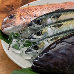 お食事処　濱の四季の写真2