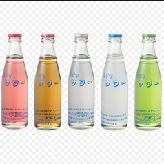 瓶で飲むサワー 各瓶セット