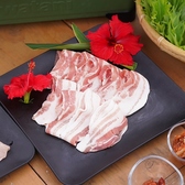 与那国島Cafe&Bar むんぶてらすの雰囲気2