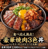 豪快！炙り焼肉3種丼