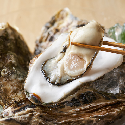 ЂƂƂ HITOTOSE L{ʂX