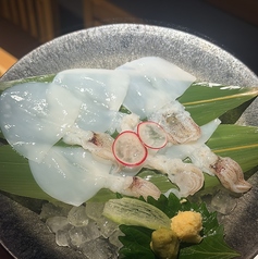 ヤリイカ造り