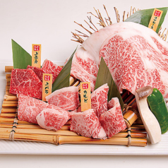 焼肉五苑 西心斎橋店の特集写真