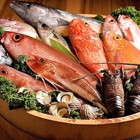 厳市場直送！新鮮な海鮮料理をご提供いたしております！