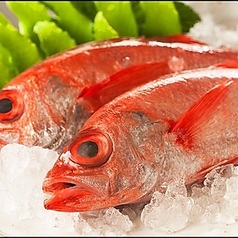 炉端かば 銀座店のコース写真