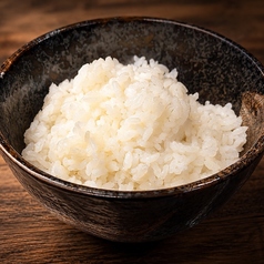 ご飯
