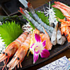 海老の刺身4点盛り