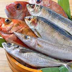 旬を大切にした手作りの料理が盛り沢山♪