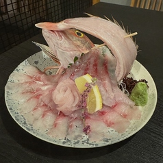 ホウボウ姿盛り