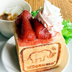 エレファンズカフェの特集写真
