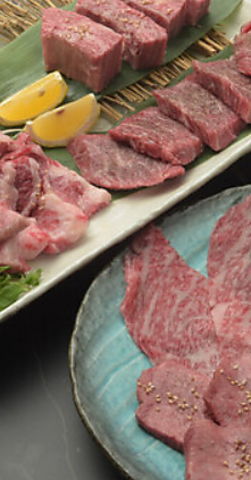 ブルーダイニング 茅ヶ崎