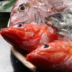 居酒屋 俺飯はしもと 高知のコース写真