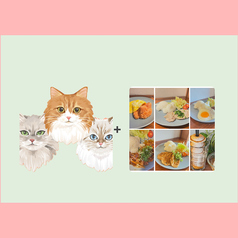 ANIMAL cafe and Bar mofuttoのコース写真