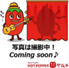 koshin コシンのおすすめポイント2