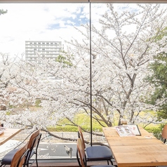 アロハテーブル 飯田橋のコース写真