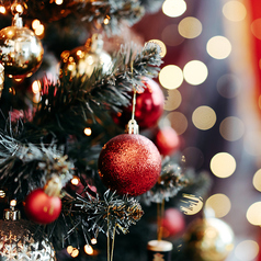 梅田カナリス canaris モダンフレンチのコース写真