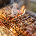 料理メニュー写真&nbsp;串焼き盛り合わせ