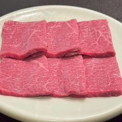 上赤身