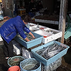 【桜木町×女子会】朝取れ新鮮の鮮魚を使用♪