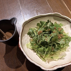 パクチーサラダ ジンジャートムヤムドレッシング