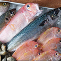 料理メニュー写真 ゴロゴロ海鮮生ユッケ