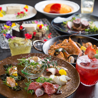新感覚の創作料理が目白押し！他では味わえないメニュー
