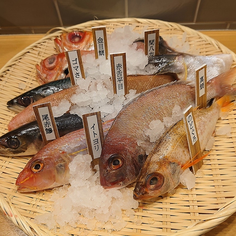 和食バルひらめ 川崎 居酒屋 ネット予約可 ホットペッパーグルメ