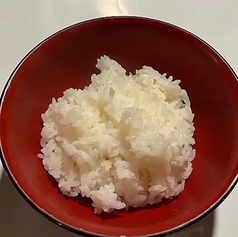 白飯(中)