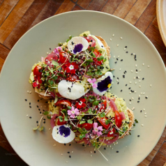 Dining ＆ Party Hiyori（ダイニング＆パーティー ひより）のコース写真