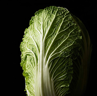 ブランド白菜「黄芯白菜　極」使用