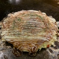 鍋 鉄板酒場 あじとのおすすめ料理1